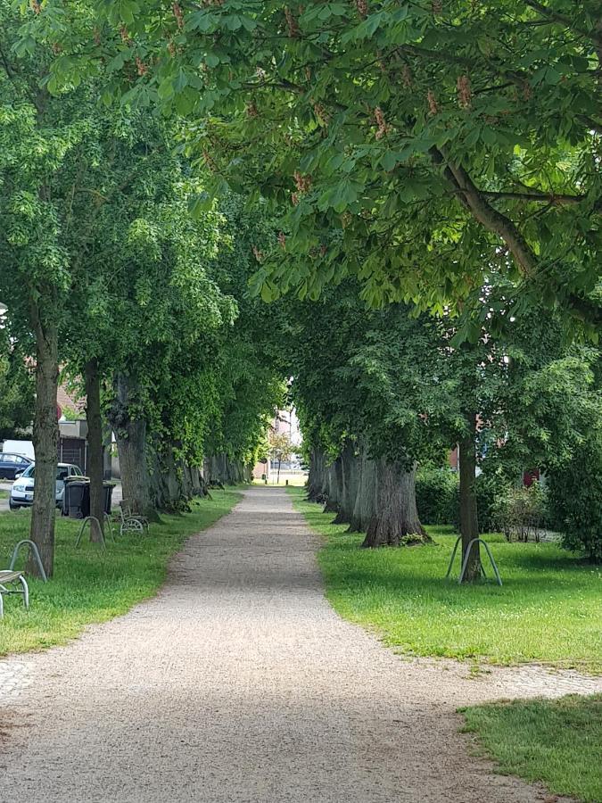 Ferienwohnung In Ostseenaehe Гревесмюлен Экстерьер фото